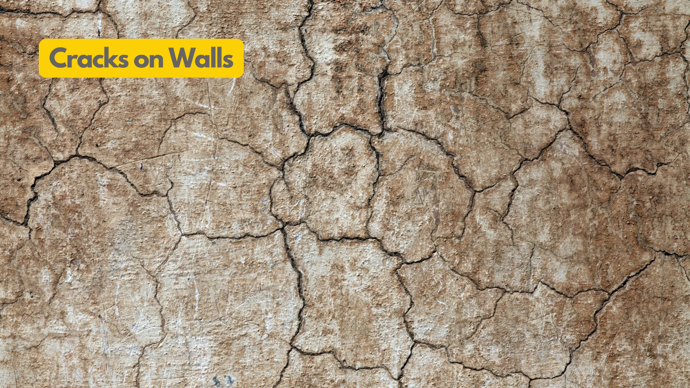 Cracks on Walls